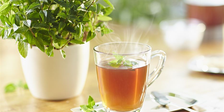 Kräutertee selber machen