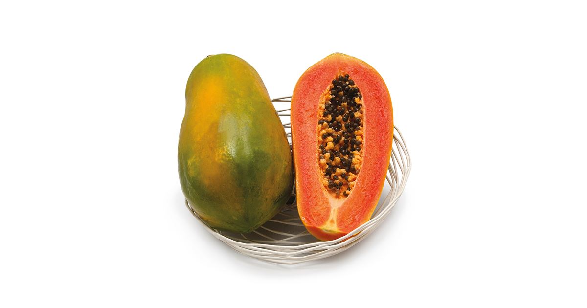 Papaya 'Sunnybees®', Carica papaya