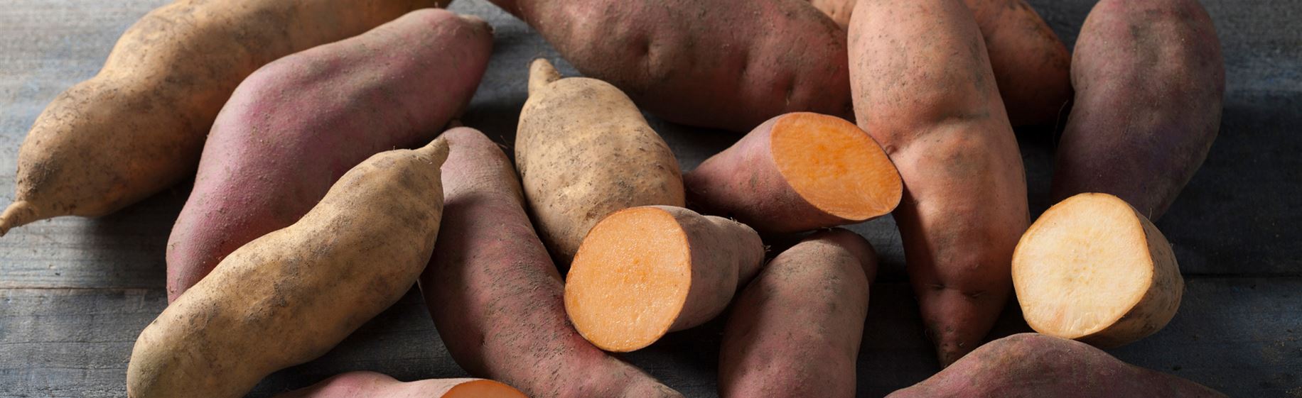 Süßkartoffeln im Garten Volmary Die Pflanzenprofis