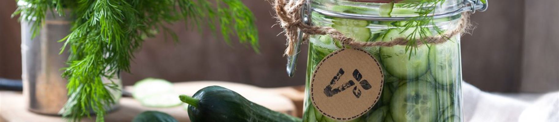 Einfaches Rezept für schnelle Essiggurken