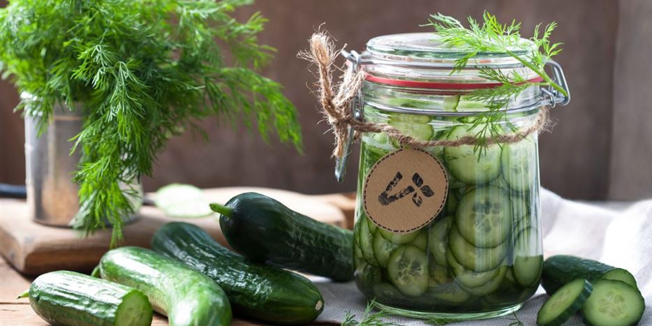 Einfaches Rezept für schnelle Essiggurken