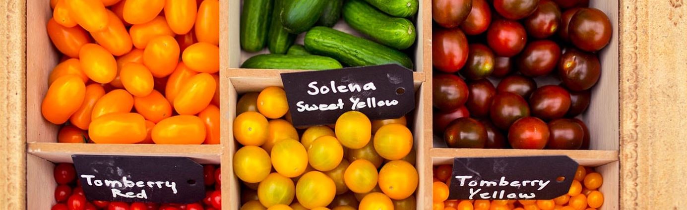 30+ Veredelte Tomatenpflanzen Kaufen, Die köstlichen, mittelgroßen