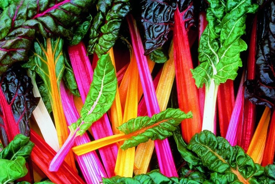 Gemüsepflanzen für das Hochbeet Tipps & Inspiration