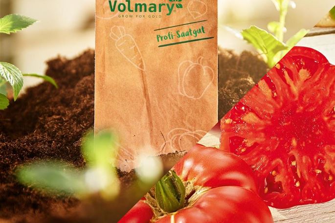 Veredelte Tomaten, Gurken und Gemüsepflanzen kaufen Und was ist