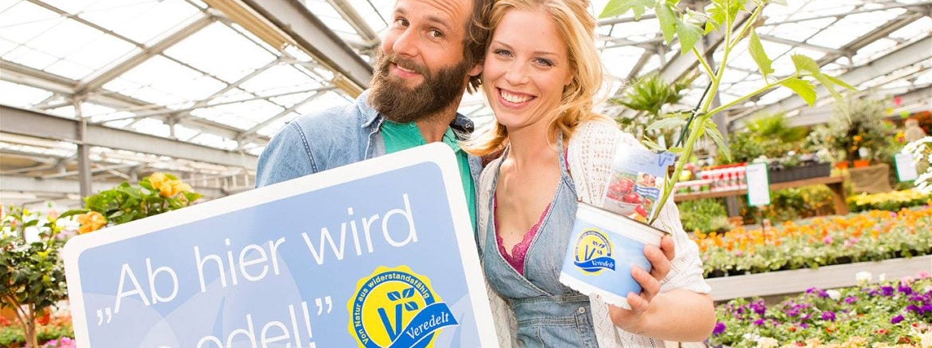 Veredelte Tomaten, Gurken und Gemüsepflanzen kaufen Und was ist