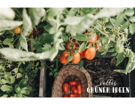 “Der Garten ist fast wie ein lieber Freund”