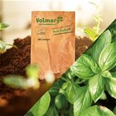 Basilikum 'Genoveser'