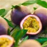 Maracuja 'Suntropics®'