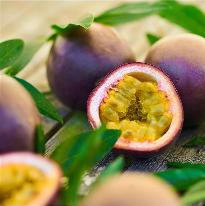 Maracuja 'Suntropics®'