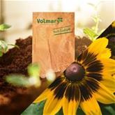 Eine Dose Sonnenschein