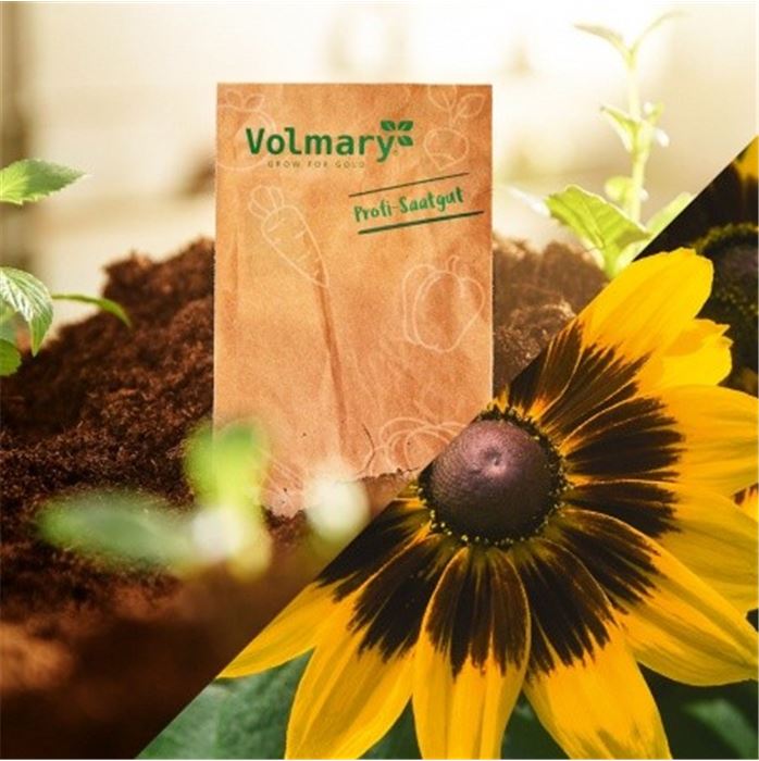 Eine Dose Sonnenschein