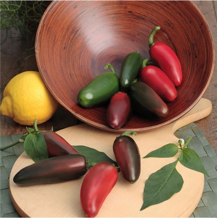 Scharf säen, Feuer ernten