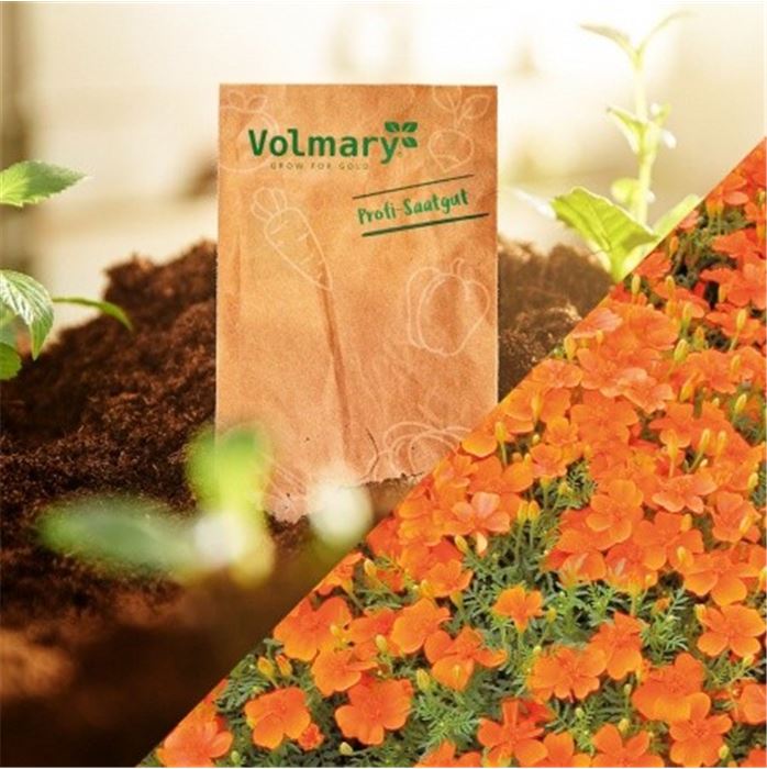 Einfach mal Danke sagen