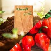 Scharf säen, Feuer ernten