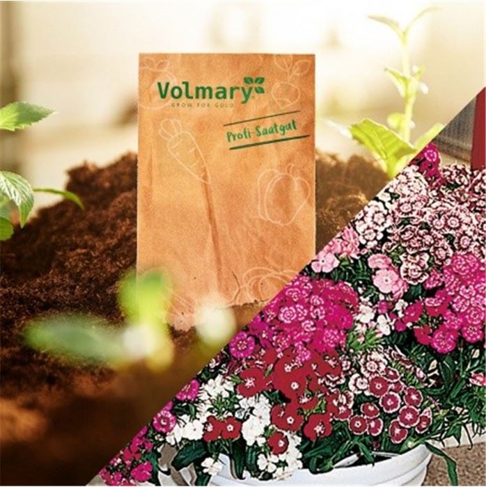 Für die beste Mama der Welt