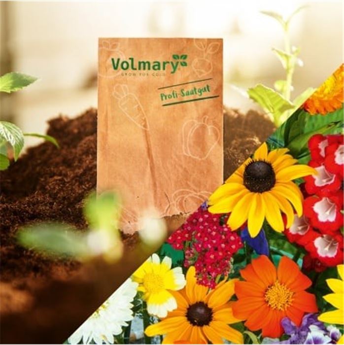 Wer einen Garten hat, lebt im Paradies