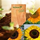 Wer einen Garten hat, lebt im Paradies