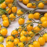 Süße Gemüsepralinen (BIO)