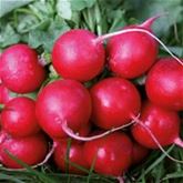 Süße Gemüsepralinen (BIO)