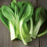 Gärtnern ist günstiger als Therapie