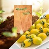 Tomate 'Mirado® Lemon' F1