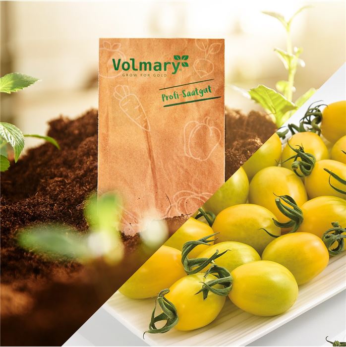 Tomate 'Mirado® Lemon' F1