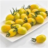 Tomate 'Mirado® Lemon' F1