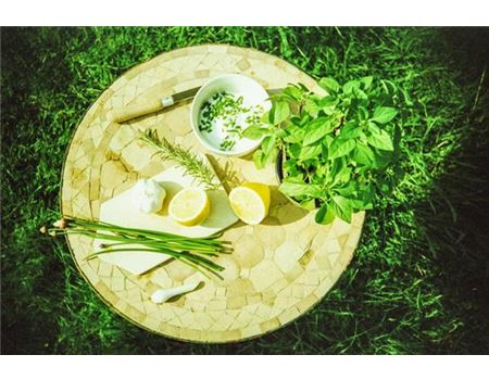 7 Garten-Tipps für Garten-Dipps