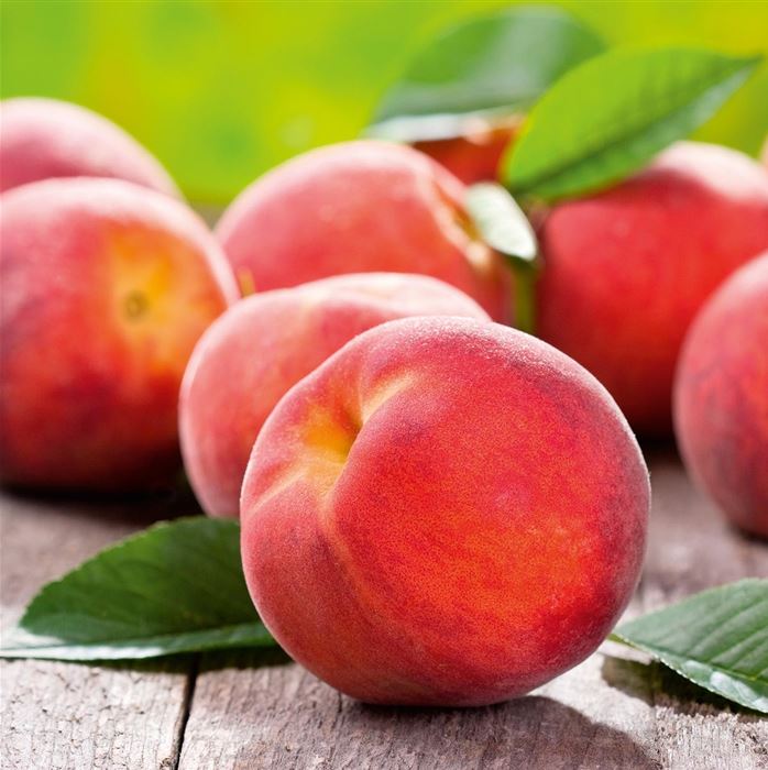 Roter Balkon-Pfirsich Fruit Me® 'Peach Me Red'