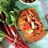 Rhabarber 'Sanvitos® Summer'