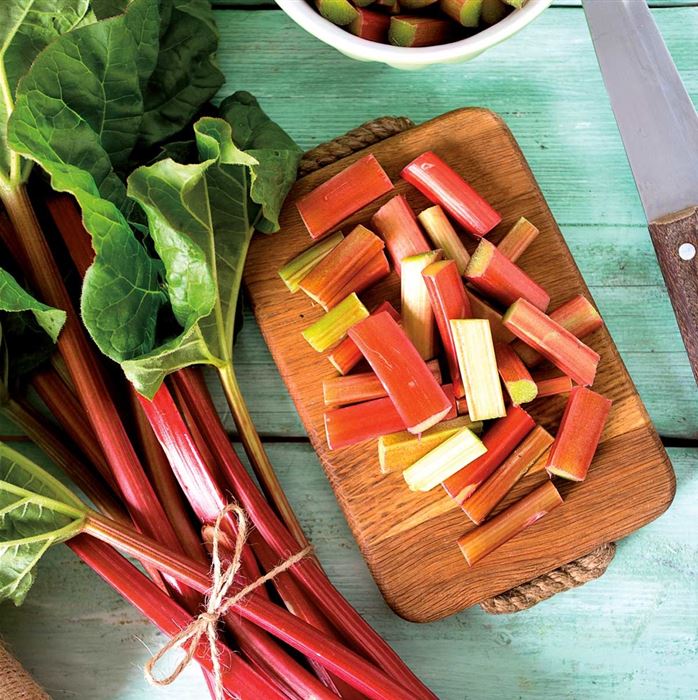 Rhabarber 'Sanvitos® Summer'