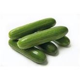 Mini-Snackgurke 'Minero® (Mini Stars)' F1