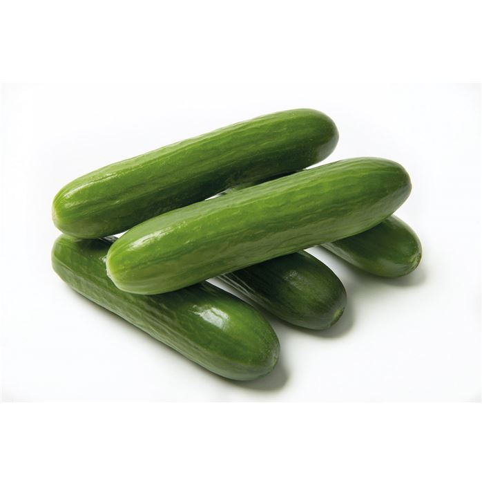 Mini-Snackgurke 'Minero® (Mini Stars)' F1