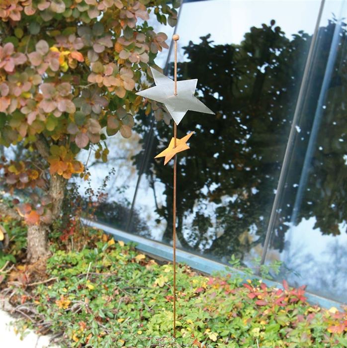 Gartenstab 'Double Starry'