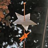 Gartenstab 'Double Starry'