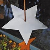 Gartenstab 'Double Starry'