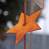 Gartenstab 'Double Starry'