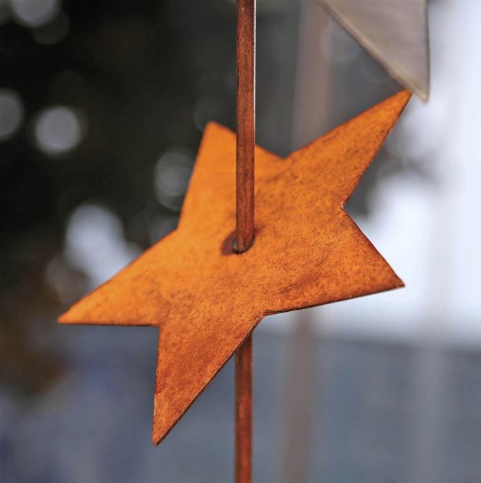 Gartenstab 'Double Starry'