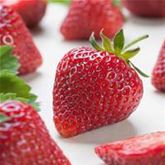 Immertragende Erdbeere 'Belmona® Summer'