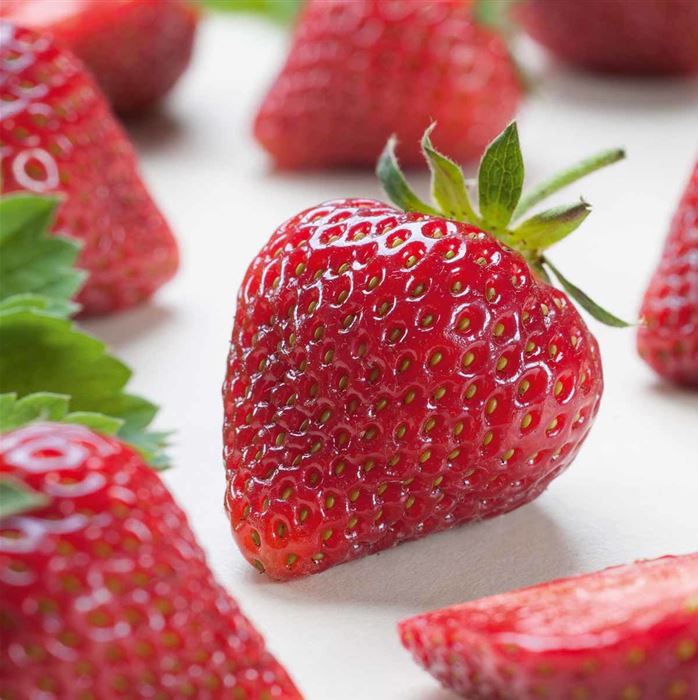 Immertragende Erdbeere 'Belmona® Summer'