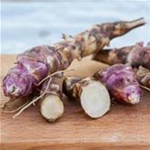 Topinambur 'Papas®'