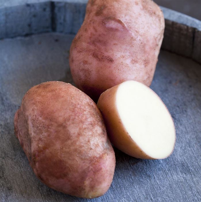 Vital-Kartoffel 'Axona'