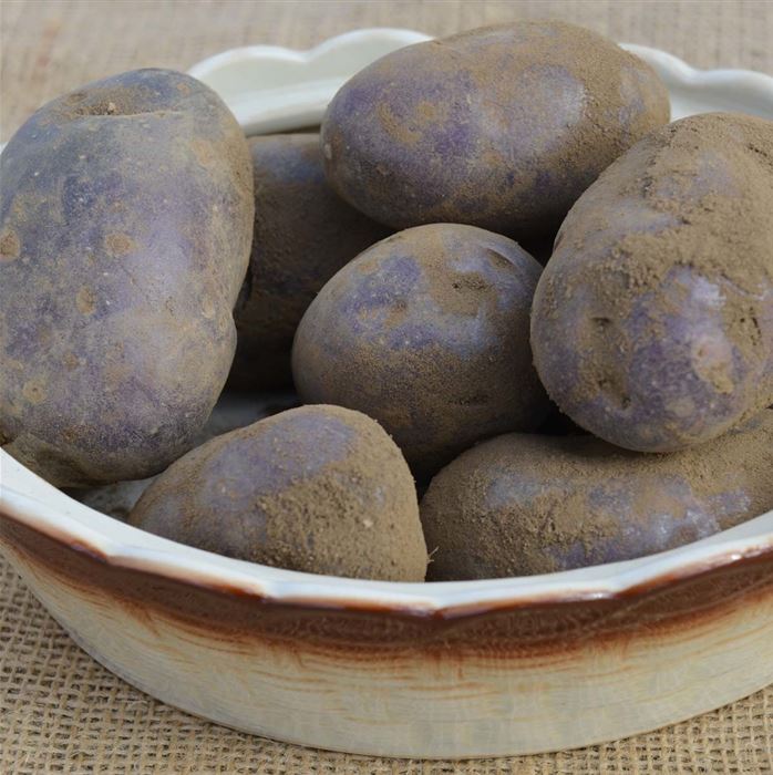 Vital-Kartoffel 'Blue Danube'