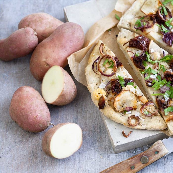 Vital-Kartoffel 'Sarpo Una'