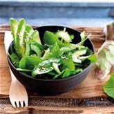 Wasabi 'Mephisto Green'