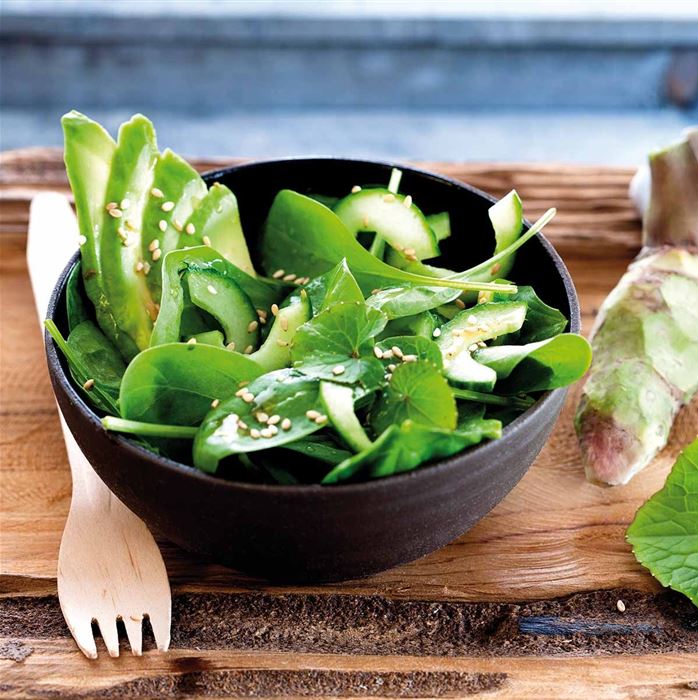 Wasabi 'Mephisto Green'