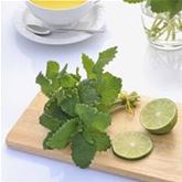 Zitronenmelisse 'Relax'