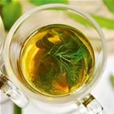 Bronzefenchel 'Smokey'