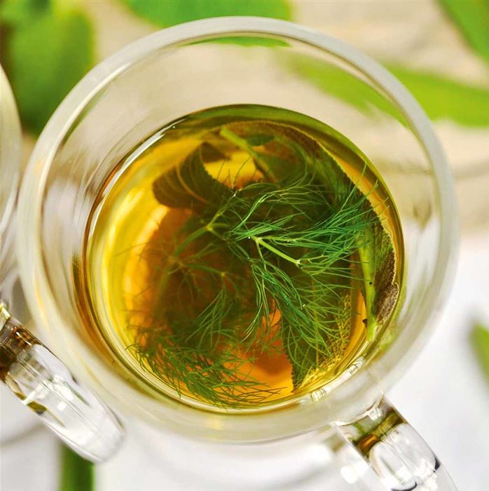 Bronzefenchel 'Smokey'