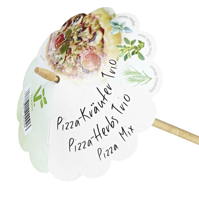 Kräuter-Trio 'Mix a Herb Pizza'